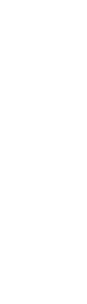 progress-netball-net